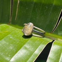 Load image into Gallery viewer, Rutilated Quartz Double Band Ring - Size 11